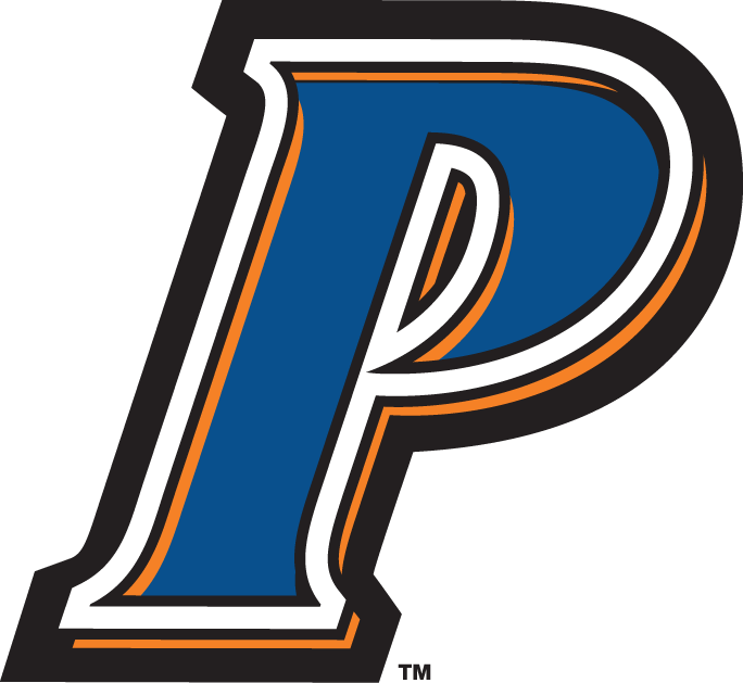 Pepperdine Waves 2004-2010 Alternate Logo diy DTF decal sticker